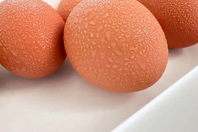 Microbiologists Actually Tested the Five-Second Rule — And the Results Weren't Pretty